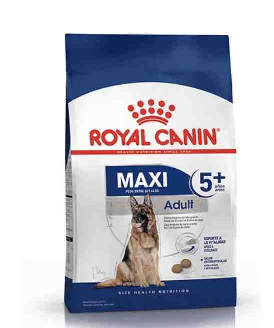 ROYAL MAXI ADULT + 5 AÑOS 